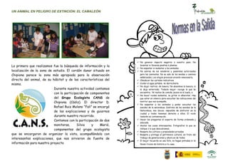 UN ANIMAL EN PELIGRO DE EXTINCIÓN: EL CAMALEÓN




                                                                   No generar impacto negativo a nuestro paso. No
Lo primero que realizamos fue la búsqueda de información y la       levantar ni llevarse piedras o plantas.
                                                                   No espantar ni molestar a los animales.
localización de la zona de estudio. El cordón dunar situado en     No salirse de los senderos y pasarelas autorizados
Chipiona parece la zona más apropiada para la observación           para las caminatas. No se sale de las sendas o caminos
                                                                    señalizados. Los atajos provocan erosión innecesaria.
directa del animal, de su hábitat y de las características del     Obedecer los carteles indicativos
mismo.                                                             Cuidar el agua potable, no derrocharla
                                                                   No dejar rastros, de basura, No abandona la basura, ni
                           Durante nuestra actividad contamos       la deja enterrada. Todavía mejor: recoge la que se
                           con la participación de componentes      encuentra. Ni restos de comida, pozos en el suelo, e
                                                                   No hacer ruidos molestos, no gritar ni alborotar. Hay
                           del Grupo Ecologista CANS de             que estar en silencio para escuchar las indicaciones del
                           Chipiona (Cádiz). El director D.         monitor que nos acompaña.
                                                                   No espantar a los animales y poder escuchar los
                           Rafael Ruiz Molano “Fali” se encargó     sonidos de la naturaleza. Disfruta de los sonidos de la
                           de las explicaciones y de guiarnos       Naturaleza, son únicos, imposible de disfrutar en la
                                                                    ciudad y todos tenemos derecho a ellos. El ruido
                           durante nuestro recorrido.               también es contaminación.
                           Contamos con la participación de dos    Hacer las preguntas al experto de forma ordenada y
                                                                    educada.
                           monitoras,     Silvia    y    Marió,    Anotar las cosas interesantes. Fotografiar lo que se
                           componentes del grupo ecologista         indique o lo que descubramos.
                                                                   Respeta los cultivos y propiedades privadas.
que se encargaron de organizar la vista, acompañándola con         Respeta y protege el patrimonio cultural, es fruto del
interesantes explicaciones, que nos sirvieron de fuente de          trabajo de generaciones y ahora es de todos.
                                                                   El mejor recuerdo es una foto, no hagas pintadas ni te
información para nuestro proyecto                                   lleves trozos de historia a tu casa.
 