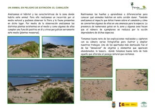 UN ANIMAL EN PELIGRO DE EXTINCIÓN: EL CAMALEÓN

Analizamos el hábitat y las características de la zona donde       Rastreamos las huellas y aprendimos a diferenciarlas para
habita este animal. Para ello realizamos un recorrido por el       conocer qué animales habitan en este cordón dunar. También
medio natural y pudimos observar la flora y la fauna presentes     analizamos el impacto que éstos tienen sobre el camaleón y cómo
en dicho lugar. Por medio de la observación analizamos las         se convierten algunos de ellos en una amenaza para la especie. La
distintas plantas existentes en el medio y como algunas de ellas   presencia de numerosos gatos en la zona y algunas aves hacen
cumplen una función positiva en él y otras perjudican seriamente   que el número de ejemplares se reduzca por la acción
este medio (plantas invasoras).                                    depredadora de dichas especies.

                                                                   Tomamos buena nota de las explicaciones realizadas y captaron
                                                                   con su cámara varias fotografías para ilustrar y ampliar
                                                                   nuestros trabajos. Uno de los apartados más destacado fue el
                                                                   de las “denuncias” de objetos y elementos que aparecen
                                                                   abandonados, la basura… donde tomamos buena nota de todo
                                                                   aquello que alteraba el paisaje natural que visitamos.
 