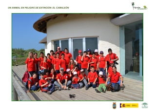 UN ANIMAL EN PELIGRO DE EXTINCIÓN: EL CAMALEÓN
 