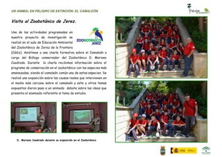 UN ANIMAL EN PELIGRO DE EXTINCIÓN: EL CAMALEÓN


Visita al Zoobotánico de Jerez.

Una de las actividades programadas en
nuestro proyecto de investigación se
realizó en el aula de Educación Ambiental
del Zoobotánico de Jerez de la Frontera
(Cádiz). Asistimos a una charla formativa sobre el Camaleón a
cargo del Biólogo conservador del Zoobotánico D. Mariano
Cuadrado. Durante     la charla recibimos información sobre el
programa de conservación en el zoobotánico con las especies más
amenazadas, siendo el camaleón común una de estas especies. Se
realizó una exposición sobre las causas reales que intervienen en
el medio más cercano sobre el camaleón y este y otros temas
expuestos dieron paso a un animado debate sobre las ideas que
presenta el alumnado referente al tema de estudio.




   D. Mariano Cuadrado durante su exposición en el Zoobotánico
 