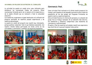 UN ANIMAL EN PELIGRO DE EXTINCIÓN: EL CAMALEÓN
                                                                  Convivencia final.
La actividad de puesta en común sirve como referente para
establecer las conclusiones finales del proyecto. Estas           Como actividad final realizada en la última sesión presencial de
conclusiones formarán parte de la memoria de la experiencia y     trabajo, participamos en una pequeña convivencia entre todos los
de la amplia difusión que se realizará a toda la comunidad        alumnos/as de los dos grupos del Programa Profundiza de
educativa.                                                        nuestro centro y nuestros maestros.
Los alumno/as ocuparemos un papel destacado en la difusión del    Esta actividad favorece la interacción personal y la cohesión del
proyecto partiendo de nuestras propias experiencias y de          grupo tras un trabajo realizado. En un ambiente más afectivo,
nuestros aprendizajes.                                            los alumnos/as y maestros compartimos unos momentos de
La puesta en común del proyecto nos resultó muy interesante,      convivencia y confraternidad.
porque pudimos comprobar todo lo que habíamos aprendido. Con      El punto y final de nuestras actividades resultó una experiencia
nuestro interés hemos participado de forma activa en las          muy divertida en la que participamos todos juntos.
actividades y contribuido a conseguir los objetivos propuestos.
 