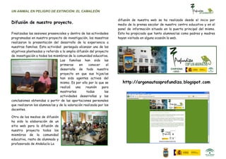 UN ANIMAL EN PELIGRO DE EXTINCIÓN: EL CAMALEÓN

                                                                     difusión de nuestra web se ha realizado desde el inicio por
Difusión de nuestro proyecto.                                        medio de la prensa escolar de nuestro centro educativo y en el
                                                                     panel de información situado en la puerta principal del mismo.
Finalizadas las sesiones presenciales y dentro de las actividades    Esto ha propiciado que tanto alumnos/as como padres y madres
programadas en nuestro proyecto de investigación, los maestros       hayan visitado en alguna ocasión la web.
realizaron la presentación del desarrollo de la experiencia a
nuestras familias. Esta actividad perseguía alcanzar uno de los
objetivos planteados y referido a la amplia difusión del proyecto
de investigación a todos los miembros de la comunidad educativa.
                                 Las familias han sido las
                                 primeras     en    conocer     el
                                 desarrollo de todo nuestro
                                 proyecto en que sus hijos/as
                                 han sido agentes activos del
                                 mismo. Es por ello por lo que se       http://argonautasprofundiza.blogspot.com
                                 realizó   una    reunión    para
                                 mostrarles        todas       las
                                 actividades desarrollas y las
conclusiones obtenidas a partir de las aportaciones personales
que realizaron los alumnos/as y de la valoración realizada por los
docentes.

Otro de los medios de difusión
ha sido la elaboración de un
sitio web para la difusión de
nuestro proyecto todos los
miembros de la comunidad
educativa, resto de alumnado y
profesorado de Andalucía La
 