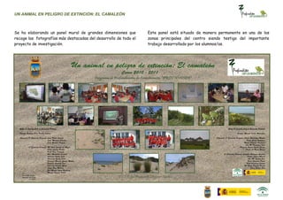UN ANIMAL EN PELIGRO DE EXTINCIÓN: EL CAMALEÓN



Se ha elaborando un panel mural de grandes dimensiones que        Este panel está situado de manera permanente en una de las
recoge las fotografías más destacadas del desarrollo de todo el   zonas principales del centro siendo testigo del importante
proyecto de investigación.                                        trabajo desarrollado por los alumnos/as.
 