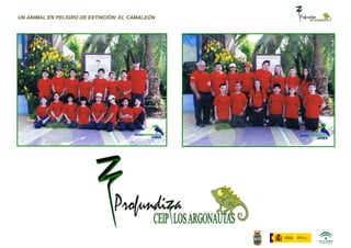 UN ANIMAL EN PELIGRO DE EXTINCIÓN: EL CAMALEÓN
 