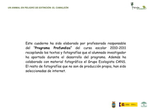UN ANIMAL EN PELIGRO DE EXTINCIÓN: EL CAMALEÓN




             Este cuaderno ha sido elaborado por profesorado responsable
             del “Programa Profundiza” del curso escolar 2010-2011
             recopilando los textos y fotografías que el alumnado investigador
             ha aportado durante el desarrollo del programa. Además ha
             colaborado con material fotográfico el Grupo Ecologista CANS.
             El resto de fotografías que no son de producción propia, han sido
             seleccionadas de internet.
 