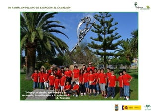 UN ANIMAL EN PELIGRO DE EXTINCIÓN: EL CAMALEÓN




            “Dime y lo olvido, enséñame y lo
          recuerdo, involúcrame y lo aprendo”
                                     B. Franklin
 