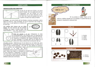 Cuaderno de campo deportes