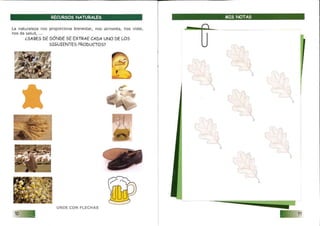 Cuaderno de campo deportes