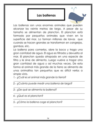 Las ballenas


Las ballenas son unos enormes animales que pueden
alcanzar los veinte metros de largo. A pesar de su
tamaño se alimentan de plancton. El plancton está
formado por pequeños animales que viven en la
superficie del mar. Lo forman millones de larvas que
cuando se hacen grandes se transforman en cangrejos,
gambas, etc.
La ballena para comerlos, abre la boca y traga una
gran cantidad de agua. El agua es filtrada y devuelta al
mar. El plancton queda atrapado en una especie de
filtro y le sirve de alimento. Luego vuelve a tragar otra
gran cantidad de agua y así muchas veces. De esta
forma el animal más grande de la tierra se alimenta de
unos animalitos tan pequeños que es difícil verlos a
simple vista.
1.- ¿Cuál es el animal más grande la tierra?

2.- ¿Cuánto puede medir una ballena de largo?

3.- ¿De qué se alimenta la ballena?

4.- ¿Qué es el plancton?

5.- ¿Cómo la ballena coge el plancton?




                           34
 