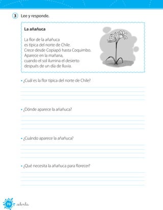 7070
3	 Lee y responde.
La añañuca
La flor de la añañuca
es típica del norte de Chile.
Crece desde Copiapó hasta Coquimbo.
Aparece en la mañana,
cuando el sol ilumina el desierto
después de un día de lluvia.
• ¿Cuál es la flor típica del norte de Chile?
	
• ¿Dónde aparece la añañuca?
	
• ¿Cuándo aparece la añañuca?
	
• ¿Qué necesita la añañuca para florecer?
	
_setenta
 
