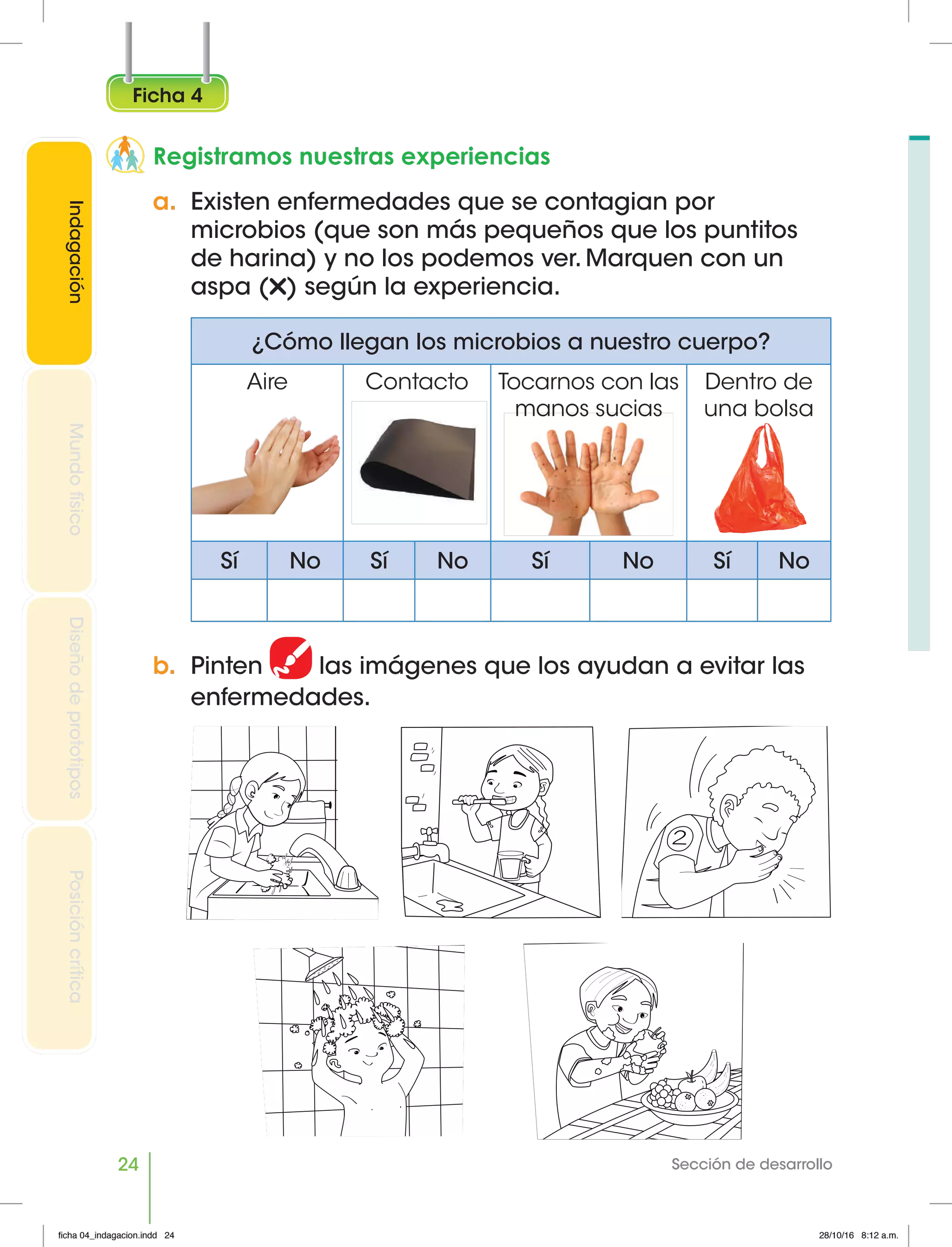 Cuaderno de fichas ciencia y tecnología. primer grado | PDF ...