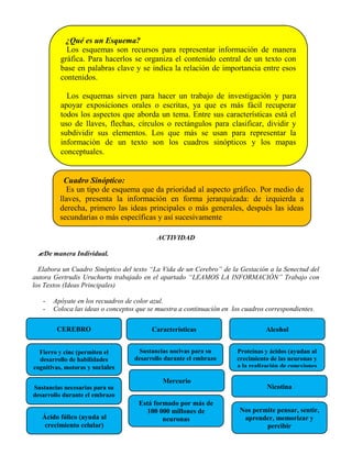 Cuaderno de Prácticas Bimestrales (Fichas de Trabajo). Slide 14