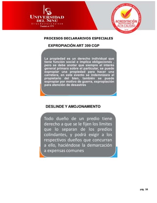 pág. 38
PROCESOS DECLARARIVOS ESPECIALES
 