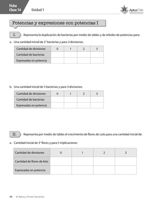 44 8º Básico, Primer Semestre
Unidad 1
Ficha
Clase 14
Potencias y expresiones con potencias I
Representa la duplicación de bacterias por medio de tablas y de árboles de potencias para:
Representa por medio de tablas el crecimiento de flores de Loto para una cantidad inicial de:
I.
II.
a.	 Una cantidad inicial de 22
bacterias y para 3 divisiones.
a.	 Cantidad inicial de 35
flores y para 5 triplicaciones
b.	 Una cantidad inicial de 5 bacterias y para 3 divisiones.
Cantidad de divisiones 0 1 2 3
Cantidad de bacterias
Expresadas en potencia
Cantidad de divisiones 0 1 2 3
Cantidad de bacterias
Expresadas en potencia
Cantidad de divisiones 0 1 2 3
Cantidad de flores de loto
Expresadas en potencia
CT 8º I SEM 2017.indb 44 20-10-16 17:26
 