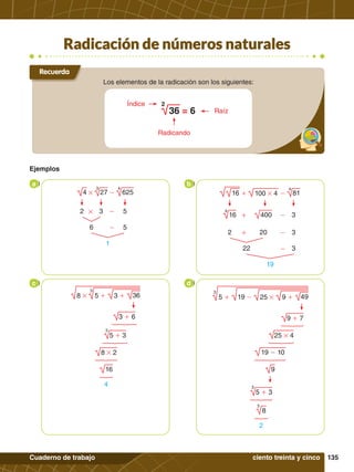 135
Cuaderno de trabajo
Ejemplos
Radicación de números naturales
a b
c d
ciento treinta y cinco
Recuerda
Los elementos de la radicación son los siguientes:
Radicando
Índice
Raíz
36 = 6
2
1
4 # -
27
3
625
4
# -
2 3 5
6 - 5
16 100 # 4 -
+ 81
4
19
-
+
16
4
400 3
-
+
2 20 3
22 - 3
16
3 + 6
8 # 2
3
36
8 # 3 +
5 +
3
5 + 3
4
9 + 7
25 # 4
19 - 10
3
5 + 3
9
3
8
3
49
5 + 19 - 9 +
25 #
2
 