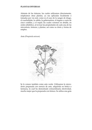 PLANTAS DIVERSAS
Además de las tinturas, las cuales utilizamos directamente,
empleamos otras plantas, ya sea aplicadas localmente o
tomadas por vía oral, como es el caso de la sangre de drago,
el cuachalalate, la zábila, la gobernadora, el órgano o cacto de
cinco costillas, y el nopal; las cuales veremos en detalle, en
orden alfabético, al revisar las propiedades de cada una de las
microdosis, tinturas y plantas, así como su dosis y forma de
empleo.
Anís (Pimpinela anisum)
Se le conoce también como anís verde. Utilizamos la micro-
dosis preparada con esencia de anís, adquirida en botica o
farmacia, la cual ha demostrado extraordinaria efectividad,
mucho mejor que la preparada con tintura. Se utiliza una gota
 