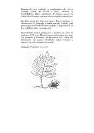 También da buen resultado en complicaciones de várices,
diabetes, úlceras del tobillo o pierna, secuelas de
tromboflebitis, difícil cicatrización de heridas, exceso de
colesterol en la sangre, quemaduras o congelaciones antiguas.
Las dosis son de dos gotas tres veces al día; en ocasiones no
debemos dar las gotas por la noche sino por la tarde, pues
pueden provocar cierto insomnio debido al mejoramiento de
la sensibilidad (oído, memoria, etc.).
Recientemente hemos comenzado a utilizarlo en casos de
síndrome de Down o Mongolismo en niños pequeños, junto
con passiflora y williamsii; los resultados hasta ahora son
alentadores, aun cuando prematuros deben evaluarse y
disponer de un tratamiento interesante.
Calaguala (Polipodium aurantum)
 
