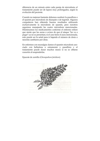 diferencia de un minuto entre cada pareja de microdosis; el
tratamiento puede ser de lapsos muy prolongados, según la
evolución del paciente.
Cuando no mejoran bastante debemos sustituir la passiflora o
el epamín por microdosis de diazepán o de tegretol. Algunos
compañeros han obtenido buenos resultados utilizando
exclusivamente la microdosis de epamín, pero nosotros
seguimos manejando las cuatro microdosis mencionadas.
Disminuimos los medicamentos conforme el enfermo refiere
que siente que las auras o avisos de que el ataque "les va a
pegar" ya no se presentan; si el caso tiene el aura mencionada,
esto puede ser la señal para ir bajando el número de dosis o
necesita cambiarse por otras.
En enfermos con neuralgias damos el epamín microdosis aso-
ciado con belladona o estramonio y passiflora y el
tratamiento puede durar muchos meses si no se obtiene
curación al suspenderlas.
Epazote de zorrillo (Chenopodium foetidum)
 