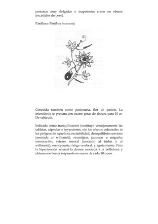 personas muy delgadas o inapetentes como en obesos
(excedidos de peso).
Pasiflora (Pasiflora incarnata)
Conocida también como pasionaria, flor de pasión. La
microdosis se prepara con cuatro gotas de tintura para 10 cc.
De vehículo.
Indicada como tranquilizantes (sustituye ventajosamente las
tabletas, cápsulas o inyecciones, sin los efectos colaterales ni
los peligros de aquellos); excitabilidad, desequilibrio nervioso
(asociada al williansii); neuralgias, jaquecas o migraña;
intoxicación; retraso mental (asociado al iridus y al
williamsii); menopausia; fatiga cerebral, y agotamiento. Para
la hipertensión arterial la damos asociada a la belladona y
obtenemos buena respuesta en nueve de cada 10 casos.
 