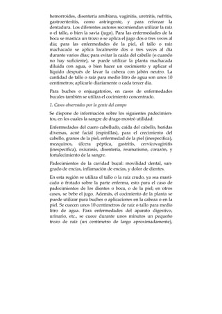 hemorroides, disentería amibiana, vaginitis, uretritis, nefritis,
gastroenteritis, como astringente, y para reforzar la
dentadura. Los diferentes autores recomiendan utilizar la raíz
o el tallo, o bien la savia (jugo). Para las enfermedades de la
boca se mastica un trozo o se aplica el jugo dos o tres veces al
día; para las enfermedades de la piel, el tallo o raíz
machacado se aplica localmente dos o tres veces al día
durante varios días; para evitar la caída del cabello (o cuando
no hay suficiente), se puede utilizar la planta machacada
diluida con agua, o bien hacer un cocimiento y aplicar el
líquido después de lavar la cabeza con jabón neutro. La
cantidad de tallo o raíz para medio litro de agua son unos 10
centímetros; aplicarlo diariamente o cada tercer día.
Para buches o enjuagatorios, en casos de enfermedades
bucales también se utiliza el cocimiento concentrado.
1. Casos observados por la gente del campo
Se dispone de información sobre los siguientes padecimien-
tos, en los cuales la sangre de drago mostró utilidad:
Enfermedades del cuero cabelludo, caída del cabello, heridas
diversas, acné facial (espinillas), para el crecimiento del
cabello, granos de la piel, enfermedad de la piel (inespecífica),
mezquinos, úlcera péptica, gastritis, cervicovaginitis
(inespecífica), oxiurasis, disentería, reumatismo, corazón, y
fortalecimiento de la sangre.
Padecimientos de la cavidad bucal: movilidad dental, san-
grado de encías, inflamación de encías, y dolor de dientes.
En esta región se utiliza el tallo o la raíz crudo, ya sea masti-
cado o frotado sobre la parte enferma, esto para el caso de
padecimientos de los dientes o boca, o de la piel; en otros
casos, se bebe el jugo. Además, el cocimiento de la planta se
puede utilizar para buches o aplicaciones en la cabeza o en la
piel. Se cuecen unos 10 centímetros de raíz o tallo para medio
litro de agua. Para enfermedades del aparato digestivo,
urinario, etc., se cuece durante unos minutos un pequeño
trozo de raíz (un centímetro de largo aproximadamente),
 