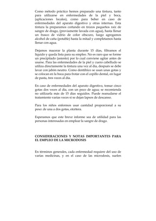Como método práctico hemos preparado una tintura, tanto
para utilizarse en enfermedades de la piel y boca,
(aplicaciones locales), como para beber en caso de
enfermedades del aparato digestivo y otras internas. Esta
tintura la preparamos cortando en trozos pequeños raíz de
sangre de drago, (previamente lavada con agua), hasta llenar
un frasco de vidrio de color obscuro, luego agregamos
alcohol de caña (potable) hasta la mitad y completamos hasta
llenar con agua.
Dejamos macerar la planta durante 15 días, filtramos el
líquido y queda lista para su empleo. No es raro que se forme
un precipitado (asiento) por lo cual conviene agitar antes de
usarse. Para las enfermedades de la piel y cuero cabelludo se
utiliza directamente la tintura una vez al día, después se debe
lavar con jabón neutro. Como dentífrico se usan unas gotas y
se colocan en la boca para frotar con el cepillo dental, en lugar
de pasta, tres veces al día.
En caso de enfermedades del aparato digestivo, tomar cinco
gotas dos veces al día, con un poco de agua; se recomienda
no utilizarla más de 15 días seguidos. Puede reanudarse el
tratamiento varias veces si se dejan lapsos de descanso.
Para los niños enfermos usar cantidad proporcional a su
peso: de una a dos gotas, etcétera.
Esperamos que este breve informe sea de utilidad para las
personas interesadas en emplear la sangre de drago.
CONSIDERACIONES Y NOTAS IMPORTANTES PARA
EL EMPLEO DE LA MICRODOSIS
En términos generales, cada enfermedad requiere del uso de
varias medicinas, y en el caso de las microdosis, suelen
 