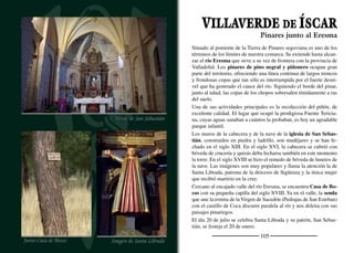 107
FUENTE EL OLMO DE ÍSCAR
Resinero abriendo una cara en el pino
Bomba de incendios
La tradición pinariega de sus vecinos sigue arraigada en su vida coti-
diana. Los resineros mantienen vivo este oﬁcio que resurge con nue-
vas técnicas y mayores ilusiones. Las caras frescas y recién abiertas
son un aliento para estos bosques que vieron mermar su importancia
con el abandono de la resinación a ﬁnales de los años setenta. Ár-
boles como los de los pinares de Fuente El Olmo son de los más
productivos del mundo: Un pie puede producir 3,5 kg. de miera en
cada campaña.
El cuidado del pinar es algo inherente a sus gentes como demuestra
el Pino de las Apuestas, uno de los árboles de singular importan-
cia de Castilla y León. Con un diámetro de casi dos metros ha sido
origen de apuestas continuas entre los jóvenes del pueblo que asegu-
raban poder abrazarlo. Después de más de doscientos años de vida,
una parte de su tronco se ha visto afectada por una nevada.
La cañada real Leonesa Oriental pasa por el pueblo en su largo
recorrido hacia tierras extremeñas. La luz del atardecer resalta la
sencilla belleza de la espadaña de la iglesia de San Cristóbal. Es un
templo humilde, construido en el siglo XVIII. Su nave se cubre con
bóveda de lunetos y el presbiterio con una simple bóveda de arista.
Junto a la sacristía se ha creado un pequeño y cuidado museo parro-
quial que conserva las piezas más señaladas del culto litúrgico.
A las afueras del pueblo hay un interesante parque etnográﬁco en el
que se exponen aperos, objetos y primitivas máquinas para el trabajo
del campo y del pinar. Llama la atención una vieja bomba de agua
fabricada en París, que se usaba para apagar incendios en el pinar.
La semana cultural precede a la celebración de su ﬁesta mayor,
Ntra. Sra. de la Asunción (15 de agosto). Otras ﬁestas importantes
son Santa Agueda, San José y San Isidro Labrador.
Donde sobrevive la resinería
 