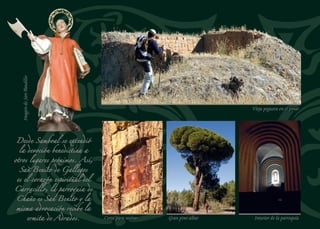 NARROS DE CUÉLLAR
Junto al arroyo Malucas
Es un lugar del sexmo de La Mata y hace unas décadas su término fue
incorporado al municipio de Samboal. Los campos de puerros, ajos,
cebollas y zanahorias se suceden en amplias ﬁncas de laboreo entre
las que se intercalan naves ganaderas. Todavía es posible distinguir
algún rebaño de ovejas paciendo en los campos que rodean el pueblo.
El arroyo Malucas, aﬂuente del río Pirón, cruza su término municipal
y pasa muy cerca del pueblo. La recarga del acuífero que abastece
de agua a los campos de cultivo de regadío ha utilizado el cauce de
este arroyo para recibir el trasvase del río Cega. La primera balsa se
encuentra muy próxima al pueblo y junto a ella se puede realizar un
agradable paseo cerca del río al abrigo de los pinos resineros.
La iglesia de la Inmaculada Concepción es un ediﬁcio barroco de
buena arquitectura, construido en ladrillo y piedra enfoscada. A los
pies de la nave se alza la monumental espadaña a la que se sube por
una escalera de caracol que se desarrolla en un cuerpo cilíndrico
adosado. Un arco triunfal muy bajo para la altura de la nave da paso
a la cabecera que se cubre con una cúpula muy rebajada.
La ermita de San Marcos está construida en lo alto de un cotarrillo
con el que compone un paisaje abierto y de soledades. Conserva va-
rios elementos de sus orígenes mudéjares, aunque fue intensamente
reformada en 1863, según consta en una cartela. De las dos portadas
de ladrillo, se conserva mejor la del lado norte, que consta de tres ar-
quivoltas rematadas por un friso de esquinillas. La cabecera, más alta
que la nave, se cubre con un espléndido artesonado del siglo XVI.
En plena primavera, el 25 de abril, sus vecinos se reúnen junto a la
imagen de San Marcos para celebrar al santo. Sin embargo su ﬁesta
más importante es a ﬁnales del otoño, el 8 de diciembre, en honor de
la Purísima Concepción.
110
Ermita de San Marcos
Artesonado de la ermita de San Marcos
 