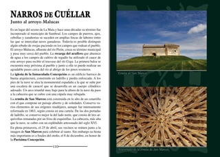 Las tencas son peces propios
de lagunas y charcas,
donde se criaban al menos
desde el siglo XVI. Eran
el pescado fresco más
consumido en los pueblos
y su carne se apreciaba
por sus beneficios sobre
la salud. Las tenqueras
abastecían los mercados
mediante aguaderas con
cántaros acarreadas a lomos
de burros.
Tenqueros
Barca de tenquero
Ranas en la laguna
Fuego de fragua
Trabajo de forja Tenca (Tinca tinca)
 