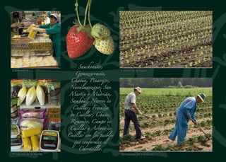 La arquitectura de ladrillo
de los siglos XII y XIII,
conocida habitualmente
como mudéjar, es una de
las señas de identidad de la
Tierra de Pinares. Iglesias
como la de Pinarejos
permiten encuadrar este
conjunto de edificios dentro
del fenómeno de la expansión
del románico al sur del río
Duero, del que son una
variante bien definida.
Torre de la iglesia
Antigua fábrica de resinaPortada mudéjar
Última Cena (Detalle)
 