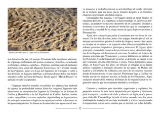 14
era quien nombraba al alcaide. De allí se escapó a Aragón Antonio Pé-
rez, dando vida a una adecuada leyenda amorosa.
En 1672, el Consejo de Hacienda, perdió el pleito suscitado a la
Villa por supuesta ilegalidad de la feria de los últimos días de noviem-
bre, de Santa Catalina a San Andrés, demostrando que ya era de tiem-
po inmemorial en 1572, ello reconocido en una provisión de Felipe
II. Yo alcancé a conocer sus últimos buenos tiempos, convergencia de
veterinarios.
De Turégano era el canónigo Jerónimo García Gallego, fecundo
tratadista de la teología política, defensor en las Cortes Constituyentes
de 1931 de la libertad de la Iglesia y su vida consagrada, muerto en un
callado exilio cubano en 1961, una tumba olvidada en el cementerio de
Colón de La Habana.
En la llanura de la Tierra o Universidad de Segovia fueron surgien-
do comunidades de aldea, la respuesta labriega a la facultad de roturar
el realengo yermo entre el Duero y la sierra, tal y como la otorgaba en
1143 Alfonso VII al conceder a Roa el Fuero de Sepúlveda. Así, Car-
bonero el Mayor, parece que pinariego ya en esos inicios, presumible-
mente entre los siglos XII y XIII. La patrona, Virgen del Bustar, tomó
también esta advocación del carboneo, comburere, quemar, lo que se
hacía en el paraje llamado bustar.
La primera mitad del siglo XVI fue en el lugar de una irresisti-
ble magniﬁcencia constructora, tanta que sólo nos deja vislumbrar la
arquitectura religiosa anterior. Parece que, en los tiempos de la colo-
nización, San Juan Bautista fue románica mudéjar. En el citado Qui-
nientos no se arredró de mantenerse ﬁel al gótico, con rico retablo,
terminándose barroca a ﬁnes de la centuria siguiente. Del XVII es
también Nuestra Señora de la Asunción. Siglo éste y el siguiente de la
nueva ermita del Bustar, con camarín y transparente, y de la hospedería
aneja, aunque la imagen y la devoción sean medievales. En 1594, el
visitador episcopal, ante el estado de la anterior, había dado seis meses
de plazo para levantar otra, pidiendo en agosto en las eras y pudiendo
sacar piedra de las canteras tres o cuatro días de ﬁesta con tal de antes
cumplir con la misa.
Mientras que, entre el XV y el XVI, se había construido el palacio
de la familia Del Sello. En 1571, Antonio y Manuel, compraron a los
jerónimos del Escorial la antigua sinagoga de Segovia, en la que fun-
daron el monasterio de Corpus Christi. Su mayorazgo pasó a ﬁnes del
Setecientos al marquesado de Bendaña.
En el siglo XX se daba importancia a las cabezas de partido, más
por el fuero que por el huevo. Carbonero era uno de los raros pueblos
de acá que sin serlo tenía notaría. En la primera postguerra, surgió en
la parroquia, gestada ya en la República, una congregación religiosa de
ﬁnalidad entonces avanzada, las Misioneras de Acción Parroquial, con
un digno crecimiento inmediato. Se las llamaba carboneras o plateras,
la última apelación por el apellido del obispo que hizo suya la idea del
párroco.
Vista del Castillo de Turégano desde poniente
 