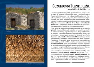 127
ADRADOS
Abubilla en las ruinas de San Benito
Puerta del sagrario
Los campos de cereal se expanden en la llanura en zonas donde an-
tiguamente se cultivaban viñas y achicoria. Aún permanecen los mu-
ros de la fábrica de achicoria en la que se transformaba esta raíz en
un sucedáneo del café. Próximo al pueblo se conserva un reducto de
quejigos resto del paisaje que cubrió estos páramos.
Junto a una viña se distinguen los paredones de la ermita de San
Benito donde se mantienen todavía en pie las maltrechas bóvedas
del ábside. En los huecos de las piedras habita una colonia de abu-
billas. Tras un paseo por el pueblo se puede caminar por la senda
ecológica que se inicia junto a la iglesia y ﬁnaliza en Hontalbilla.
Su ﬁliación histórica es el sexmo de Hontalbilla de la Tierra de Cué-
llar. Caminando por sus calles es fácil observar antiguas casonas
construidas con calizas del páramo de color gris casi blanco. En su
construcción se reaprovecharon elementos del desaparecido palacio
de Buen Grado. La Cilla, recientemente restaurada, servía para al-
macenar el grano y garantizar la siembra en épocas de carestía.
La iglesia de la Natividad de María es un templo de planta basilical en
el que se superponen elementos de distintas épocas. Las naves laterales
se derrumbaron en los años setenta, lo que hace todavía más complica-
da la datación de la arquitectura. Quizás la portada sea lo más antiguo
del templo. El presbiterio se cubre con una cúpula sobre pechinas, que
es una interpretación muy popular de la arquitectura barroca del siglo
XVIII. El retablo mayor es de estilo clasicista, con algunos añadidos
posteriores. En la puerta del sagrario aparece Cristo resucitado.
Sus ﬁestas principales se celebran en honor de la Natividad de Ntra.
Señora, el 8 de septiembre, y de laAsunción y San Roque, el 15 y 16
de agosto. El 15 de mayo, San Isidro, se hace la solemne bendición
de los campos.
Rodeado de pinares
 