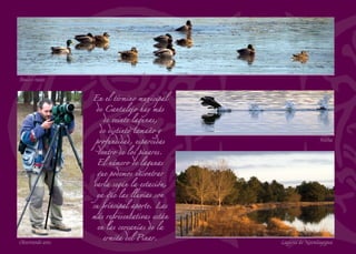 El lugar de las treinta fuentes
En el paisaje de su entorno predomina el pinar que cubre gran par-
te del municipio, aunque su continuidad se ve limitada por el aﬂo-
ramiento calizo que, a pocos kilómetros, da origen a las Hoces del
Duratón. Sabinas y enebros de la miera junto a tomillos y espliegos,
cubren las lastras calizas entre las que corretean los conejos. En los
límites del pinar alternan matas de rebollos testimonio de la vege-
tación ancestral a la cuál hace referencia su nombre. El manantial
de Cubo Terreña, en lo alto de un cerro, es uno de los lugares más
recoletos de este término tan pinariego. Varias lagunas como la del
Herrero, de San Roque, de las Cerradas y de Zorreras entre otras,
emergen entre el pinar ofreciendo resguardo a las fochas que anidan
en sus orillas. Cuenta en el pueblo que antaño manaban aquí treinta
fuentes que se han ido secando. Deliciosos nícalos crecen por do-
quier con la llegada del otoño.
La iglesia de Nuestra Señora de la Asunción es el ediﬁcio más
importante del pueblo. Consta de una sola nave con el presbiterio
incorporado al mismo volumen. Ambos espacios comparten la bó-
veda de amplios lunetos que les cubre y que fue levantada en el siglo
XVIII. En la parte posterior se alza el coro y, sobre él se dispone el
gran órgano de tubos, mudo desde hace unas décadas. Por el soto-
coro se accede a la escalera del campanario pasando junto a la pila
bautismal románica. En el lado norte de la nave, dos arcos formeros
dan paso a una capilla lateral.
A las afueras de la población se encuentra la ermita de San Roque,
recientemente reconstruida. Caminando hacia ella encontramos tam-
bién el lavadero con su gran pórtico de piedra.
Sus ﬁestas patronales se celebran en honor a la Virgen del Rosario, el
primer domingo de octubre, y a San Antonio, el 13 de junio.
150
FUENTERREBOLLO
Tubos del órgano
Recogiendo nícalos en el pinar
 