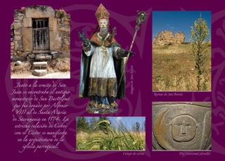 San Miguel de Bernuy pudo
ser repoblado por franceses
procedentes de Brenouille, en
la región de Picardía, al norte
de Francia. Ambos aparecen
mencionados con idéntico nombre,
Bernuille, en la primera mitad
del siglo XII.
Vista otoñal
Torre de la iglesia de San Miguel
Puente medieval
Palomar
Ermita de la Virgen del RíoSta. Mª. Magdalena (Iglesia de San Miguel)
 