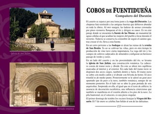 155
SAN MIGUEL DE BERNUY
Retablo de San Miguel
Se encuentra situado junto al río Duratón, en un paso estratégico
que articula las comunicaciones entre Segovia, Aranda de Duero,
Sepúlveda y Fuentidueña. Aguas abajo comienzan las Hoces septen-
trionales del Duratón.
San Miguel pertenece a la Tierra de Fuentidueña. Todavía se conser-
va, aunque sin pretiles y con zonas restauradas, el puente medieval
sobre el que se cruza el Duratón desde los siglos de la repoblación.
En lo alto del cerro junto al que se levanta el pueblo se encuentran las
ruinas de las iglesias románicas de San Pedro y San Martín, hoy
conocidas como los Sampedros y los Sanmartines. Por su dimensión,
es posible que cada una fuera la parroquia de un barrio desaparecido
y que Bernuy fuera, por tanto, una importante población al menos
durante la Edad Media. Al otro lado del Duratón se alzan las Ermi-
tonas, donde antaño se veneraba a la Virgen del Río. La construcción
superior se ha identiﬁcado como los restos de un palacio medieval.
La cabecera de la iglesia de San Miguel es un elemento singular en el
románico segoviano. Se trata de una gran torre de planta rectangular
que alberga en su interior la escalera y el presbiterio. El conjunto re-
sulta de una monumentalidad alejada del románico rural. La nave, la
sacristía y la portada de ingreso son de mediados del XVIII. También
es barroco el retablo mayor, construido en tres calles, dorado y poli-
cromado. Es una obra bella y de gran calidad. La ermita de la Virgen
del Río, ediﬁcada con restos románicos procedentes del antiguo em-
plazamiento, se alza a las afueras, junto a la carretera de Cobos.
Su patrón es San Miguel Arcángel y se celebra el último ﬁn de
semana de septiembre. El ﬁn de semana próximo al 13 de junio, se
festeja a San Antonio, pero su ﬁesta más entrañable es la Virgen del
Río, el 8 de septiembre.
Al pie de las Hoces del Duratón
 