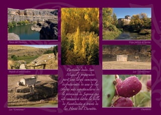 Como en San Miguel
de Bernuy, en Fuente El
Olmo la iglesia responde a
un tipo de templo románico
poco estudiado, en el que
la torre se construye sobre
la cabecera. Estas torres
podrían haber tenido una
función defensiva, ya que
ambas se levantan junto a
sendos puentes.
Iglesia de San PedroPuente
Retablo mayor Detalle de la decoración del coro
Capitel románico (detalle)
 