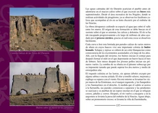 159
FUENTEELOLMODEFUENTIDUEÑA
Arco románico
El pueblo se sitúa en un llano, en la frontera entre el pinar y el pára-
mo. Los campos de cereal bordean el límite del pinar. Donde el suelo
es más profundo y la humedad mayor se extienden plantaciones de
fresas en las que crece la planta que luego dará su fruto en lugares
más cálidos al sur de Andalucía. La recogida de la planta de la fresa
trae al pueblo a los temporeros rompiendo la monotonía de sus ca-
lles. Algunos de ellos han hecho de éste su nuevo hogar. El arroyo
de las Revillas lo cruza y junto a él se asientan pequeñas huertas
familiares que alegran el camino al visitante. Sobre el arroyo cruza
un puente medieval construido en piedra. Tiene tres ojos separados
por tajamares apuntados. Junto a él se encuentra el pozo del Cubillo,
con paredes fabricadas en sillería.
La iglesia de San Pedro es un templo románico que responde al
mismo esquema visto en la iglesia de San Miguel de Bernuy. Aquí,
aunque las dimensiones son más modestas, se conserva también el
volumen de la nave con su cornisa de canecillos. La cabecera de la
iglesia es una torre de dos cuerpos construida sobre planta cuadrada.
El arco triunfal es apuntado y doblado. Apoya sobre columnas con
grandes capiteles decorados. En el siglo XVI se amplió la nave y
se añadió la portada de arquivoltas enmarcadas en un alﬁz. En el
interior, dos esbeltos arcos formeros comunican la nave sur con la
principal. Esta última se cubre con artesonado mudéjar. De la misma
época es el coro de madera labrada. El retablo mayor es barroco,
dorado y de tres calles. Por la forma, al igual que en San Miguel,
hay que pensar que el interior de la cabecera es un hemiciclo. En la
sacristía se conserva una gran cajonera bellamente labrada.
La ﬁesta mayor y más multitudinaria es el 15 de Agosto, Ntra. Sra.
de la Asunción. El 22 de febrero se festeja a San Pedro en Cátedra.
La torre junto al puente
 