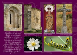 A San Gregorio
Nacianceno, representado
en el retablo de Diego
de Aguilar, se le rezaba
para conjurar las plagas
de langosta que podían
arruinar las cosechas.
Su devoción estaba
muy extendida entre los
campesinos castellanos.
Sta. Mª. Magdalena (Detalle del sagrario)
Trigal
Lavadero
Capitel románico
Ménsula gótica
 