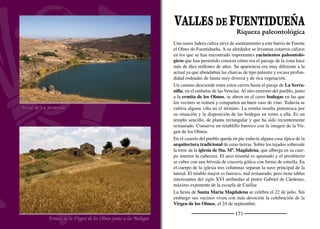 173
FUENTIDUEÑA
Entrada a la Villa
Capitel de la huida a Egipto. San Miguel
A la vera del Duratón, sobre las peñas calizas, se asienta la villa
medieval de Fuentidueña. A sus pies, el valle se abre tras discurrir
escoltado por grandes paredones calizos en el embalse de las Ven-
cías. Desde el pueblo, siguiendo un camino que parte de la Fuente
del Hierro, de aguas cárdenas, se accede a la Serranilla, junto al em-
balse. El camino continua hasta San Miguel de Bernuy siguiendo el
cañón por el páramo y ofrece excepcionales panorámicas. Cuevas
y galerías discurren por la roca en un laberinto de túneles que en
ocasiones emergen al cañón en grandes bocas. Este es el caso de la
Cuevona que quedo al descubierto cuando sacaban piedra y arena
para la construcción de la presa. Aguas abajo, las hoces dan paso a
una amplia vega donde proliferan choperas y huertas. El agua que
se ﬁltra por las ﬁsuras de la roca se acumula en profundidad emer-
giendo al exterior por manantiales como la fuente del Salidero. Tal
es el caudal de sus múltiples surtidores que en pocos metros llega a
ser un río. En su corto recorrido hasta el Duratón donde desemboca,
abastece a una piscifactoria en la que se crían excelentes y sabrosas
truchas. Hace unos años parte de su torrente se canalizó para abaste-
cer a varios pueblos de la comarca de la Churrería, que comprende
varias poblaciones de Segovia y Valladolid.
Otro de los rincones más sorprendentes de este lugar se encuentra en
el Cerro de San Blas, que recibe este nombre de la ermita que aquí
se levantaba. Hasta él se accede por un camino que parte de la vega
del Duratón y asciende por una empinada ladera hacia una mata de
quejigos. Entre ramas y arbustos algún corzo sorprendido se puede
cruzar en el camino. Un sendero sube hasta el punto más alto para
disfrutar de una panorámica excepcional. El embalse de las Vencías
al fondo del cañón del Duratón y coronando el roquedo los páramos.
La dueña de las fuentes
 