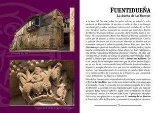 175
El pinar se extiende hacia el horizonte arropado por una suave bruma
con la silueta de la sierra al fondo. Al llegar la noche las luces de los
pueblos se confunden con veleros navegando a la deriva en el mar.
El caserío de la Villa, como sencillamente se la conoce en la zona,
ocupa la falda no demasiado abrupta de un cerro que cae hacia el Du-
ratón. Lo pintoresco del emplazamiento hace que, a pesar de moder-
nas construcciones poco agraciadas, las vistas de Fuentidueña sean
magníﬁcas y cautivadoras. Muy recomendables son las que podemos
disfrutar desde el cerro de San Blas y desde la sinuosa carretera que
conduce a Calabazas de Fuentidueña. Saliendo por el camino de los
Valles y volviendo la mirada atrás, la vista de la muralla sobre los
cortados calizos tiene algo de imagen bíblica.
De su historia se conocen algunos episodios destacados, como los
que relatamos a continuación.
A Fuentidueña vino gravemente enfermo el rey Alfonso VIII en
1204. Años más tarde, tras vencer en la batalla de las Navas de To-
losa (1212) volvió a la villa en la que encontraba solaz y descanso.
También vino dos veces a Fuentidueña Alfonso X el Sabio, primero
en 1250 y después en 1279. En el siglo XIV pierde su condición de
realengo y en 1440 pasó Álvaro de Luna se convirtió en señor de
Fuentidueña, título que pasaría a su hijo natural, Pedro de Luna. Sus
sucesores fueron heredando el señorío y, a principios del siglo XVII,
el rey Felipe III concedió a Antonio de Luna el título de conde de
Fuentidueña. Un siglo después el título de Fuentidueña fue heredado
por el conde de Montijo, quien mandó construir la impresionante
capilla barroca del Pilar. En la actualidad, el título de condesa de
Fuentidueña lo ostenta la duquesa de Alba.
Pero lo más importante de la personalidad histórica del lugar le viene
dado por ser cabeza de una comunidad de Villa y Tierra que engloba
a veintiún pueblos. A principios del siglo XII compartía la cabeza
de la zona con otros lugares como Sacramenia, Bernuy y Membibre,
pero en el siglo XIII ya ejercía la hegemonía sobre su territorio.
Vista desde la carretera de Calabazas
Vista desde el cerro de San Blas
 