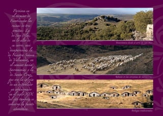 Al paso del camino real
Asentado sobre el cerro Tentebuey, es un pequeño pueblo de la comu-
nidad de Villa y Tierra de Fuentidueña. Su nombre hace referencia a
la fabricación de tejas y ladrillos para la que se utilizaban las arcillas
rojizas sobre las que se asienta la aldea. En el centro del pueblo se ha
recuperado la laguna del Charco de Tejares de origen semiartiﬁcial,
ya que de ella se extraía el barro que se empleaba como materia pri-
ma. Actualmente la laguna se encuentra rodeada de chopos y álamos
jóvenes entre los que corretean las ocas y los patos que la habitan.
Durante los días de calor se repite el vuelo rápido e incesante de
aviones y vencejos que se acercan al agua en busca de insectos. En la
lejanía se distinguen algunas bodegas hoy abandonadas entre las que
surge un importante manantial que abastece a Fuentesoto.
También hay bodegas agrupadas en el pueblo, cerca del charco y
de la iglesia de Santa María Magdalena. Es este un templo muy
austero. El arco triunfal es románico y sirve de base para la sólida es-
padaña. Al exterior presenta un solo volumen de planta rectangular.
La puerta se abre en lado norte y tiene un arco apuntado trasdosado
con moldura de nacela. Una de las ventanas del presbiterio se decora
con un esgraﬁado que integra cráneos humanos, costumbre esta que
también hemos visto en la Casa de las Ánimas de Hontalbilla.
Junto a la carretera de Aranda a Segovia, antiguo camino real, se
encuentra la posada de Domingo Juan, una de las dos que funcio-
naban antaño. Aquí, según don Manuel González Herrero, paraban
los ganaderos que acudían a la feria de San Andrés de Turégano.
En el ecuador de la primavera, el 11 de mayo, se festeja a su patrón,
San Mamerto, el antiguo titular de la parroquia. Sin embargo es el
22 de julio, día de Sta. Mª Magdalena, cuando vecinos y amigos se
reúnen al son de la música para celebrar su ﬁesta mayor.
180
TEJARES
Ocas junto al Charco, delante de la iglesia
Pinarillo junto al pueblo
 