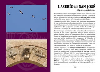 183
FUENTESOTO
Capitel románico de San Vicente
Peña Colgada
El agua mana a raudales a lo largo de la ladera sobre la que se es-
parce su caserío. Bajo una peña caliza, en un extremo del pueblo,
brota un manantial de aguas abundantes que lo atraviesa. La torre
de la iglesia de San Gregorio, consolidada recientemente, ofrece
una magníﬁca panorámica sobre la población y el valle junto al que
se sitúa. Lo que queda es una cabecera románica recta cubierta con
bóveda de cañón apuntada y los restos de la torre adosada al sur. La
inﬂuencia cisterciense es patente. Es muy interesante el conjunto de
estelas discoidales medievales que se esparcen por el cementerio.
El pueblo es recoleto, plagado de jardincillos muy cuidados. La igle-
sia de San Pedro es un templo neoclásico, construido durante el
reinado de Carlos III, según consta en el dintel de una ventana. La
nave se cubre con bóvedas de lunetos adornadas por tracerías muy
sencillas. El presbiterio, de planta elíptica al interior, se cubre con
bóveda de horno. En una capilla lateral se encuentran la pila bautis-
mal y el retablo de San Antonio de Padua.
Siguiendo la vega, aguas abajo, llegamos a la ermita de San Vicen-
te, uno de los ediﬁcios románicos más interesantes de la Tierra de
Fuentidueña. A su alrededor abundan chopos, majuelos, endrinos y
frutales de antiguas huertas. Junto a ella se encontraba el despoblado
de San Vicente de Pospozuelo. El canto de ruiseñores, oropéndolas
y pinzones acompañan al caminante hasta Peña Colgada, un rincón
de gran belleza.
El segundo ﬁn de semana de agosto el pueblo se ilumina con cen-
tenares de velas que alumbran el camino hasta la Ermita de San Vi-
cente desde la que parte la Procesión de los Faroles con la imagen
del santo al frente. El ﬁn de semana más cercano al 29 de junio se
celebra San Pedro Apóstol.
La fuente generosa
 