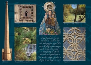 Al igual que en muchas
otras zonas de la
Tierra de Pinares, la
actividad resinera casi
desapareció del Común
Grande de las Pegueras.
Afortunadamente,
cada vez son más
frecuentes las jóvenes
caras abiertas sobre los
troncos rojizos, dejando
al descubierto los
pequeños canales por los
que resbala el ámbar de
esta tierra.
Cortados de margas Nícalos
Vista desde Torrentillana
 