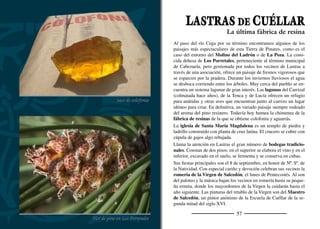 59
COMÚN GRANDEDE LAS PEGUERAS
A principios del siglo XI nacen las Comunidades de Villa y Tierra
como un instrumento para incentivar la repoblación Cristiana al sur
del Duero, a través de la concesión de privilegios que atraían a nue-
vos pobladores. Entre ellos se repartían amplias extensiones de tierra
que explotaban en calidad de propietarios y se conservaban otras
para el aprovechamiento comunal gestionado a través del Concejo.
Así surgió el Común Grande de las Pegueras, perteneciente a la co-
munidad de Villa y Tierra de Cuéllar y cuyo uso comunal se ha
mantenido de forma testimonial hasta nuestros días. Se sitúa entre
los términos municipales de Lastras de Cuéllar, Zarzuela del pinar,
Navalmanzano, Pinarejos, Sanchonuño, Cuéllar y Frumales
Su extensión ronda las 7.000 hectáreas que congregan el monte de
pinar más extenso de la tierra de pinares segoviana. Su nombre alude
a los hornos o pegueras que se dispersaban por el pinar, y en las cuá-
les se extraía la pez a partir del sarro (restos de resina, barrujo y otras
impurezas). A la pez se le daban multitud de utilidades destacando
su efecto impermeabilizante que se aplicaba sobre pieles, tinajas y
cubas. Largos troncos de corteza rugosa se levantan desaﬁantes so-
bre las arenas silíceas a las que se arraigan con un laberinto de raíces.
El pino negral o resinero forma un bosque claro que se hace más
tupido a media que la mirada se levanta hacia sus copas. La vista
debe estar adiestrada y bien agudizada para reconocer alguna pina en
el camino, todo un reto para los iniciados en el pinar. Sus habitantes
aseguran que esta variedad del pino negral es fácilmente distinguible
por sus piñas más pequeñas y los piñones vanos que se encuentran
en su interior. La senda del Manzano-Sotocivieco, que recorre el
corazón del Común hasta llegar al río Cega, es una buena propuesta
para disfrutar del pinar.
El gran pinar
La “pina”
Otoño en Sotocivieco
 