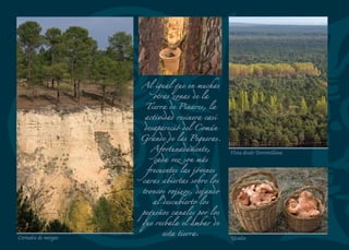 Vista general de Cuéllar
 