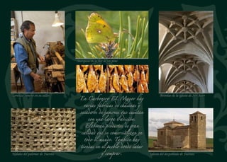 El Temeroso de Otero fue
un coto del Mayorazgo
del Sello. En 1930 se lo
compraron los colonos de
Carbonero al Marqués de
Altamira. En su término
abundan los pinos albares y
negrales, los rebollos y las
encinas. Sus campos producían
cereales, garbanzos y nabos.
Cristo del Penegral
Iglesia de San Nicolás
Pino albar
Tozas de pino resinero
 