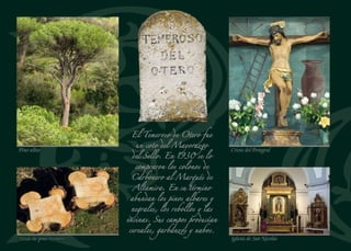 Paloteo en la Octava del Corpus
Ruinas de la ermita de San Cebrián
Fuentepelayo conserva con
fuerza sus tradiciones,
especialmente la fiesta de
la Octava del Corpus, que
todavía se vive con fervor
y devoción. Durante la
procesión, los danzantes
alternan los palos y las
castañuelas. El momento
más señalado es la formación
del Arco por el que pasará el
Santísimo bajo palio.
Mar de Pinares desde San Cebrián
IglesiadeSantaMaría.Ábsideytorre
Iglesia de El Salvador. Artesonado mudéjar
 