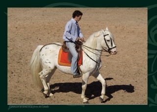 Cuenta una vieja leyenda de
Navalmanzano que en tiempos
unos frailes guardaban la
ermita de Santa Juliana y en
una cueva del otero escondían
las riquezas y el vino que
obtenían de sus posesiones.
Misteriosamente, de la noche
al día, desaparecieron sin dejar
rastro. Han sido muchos los
que han cavado grandes hoyos en
el cerro buscando sus tesoros.
Veleta de la parroquia
Interior de la ermita de Santa Juliana
Perro de San RoqueSanta Juliana
 