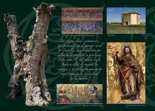 Iglesia de San Benito
Los bifaces achelenses
encontrados en el término
de Chañe tienen una
antigüedad de más de
trescientos mil años y son
los restos más primitivos
de la presencia humana
encontrados en esta parte
de la provincia de Segovia
Pinares
Santo Cristo de la Agonía
Muérdago
 