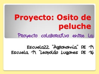 Proyecto: Osito de
peluche
Proyecto colaborativo entre la:
Escuela22 “Agronomía” DE 14
Escuela 14 “Leopoldo Lugones DE 16
 