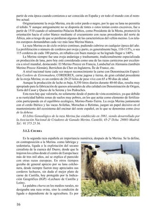 partir de esta época cuando comienza a ser conocida en España y en todo el mundo con el nom-
bre actual.
Originariamente la oveja Merina, era de color pardo o negro, por lo que su lana no permitía
el teñido. Y aunque antiguamente no se disponía de tintes o estos tenían costes excesivos, fue a
partir de 1510 cuando el salmantino Palacios Rubios, como Presidente de la Mesta, promovió la
orientación hacia el color blanco mediante el cruzamiento con razas procedentes del norte de
África, aún a riesgo de que se perdieran algunas de las características del vellón merino. Los tela-
res europeos demandaban cada vez más lana Merina blanca.
La raza Merina es de ciclo ovárico continuo, pudiendo cubrirse en cualquier época del año.
La proliferación o número de corderos por oveja y parto, es generalmente baja, 110-115%, o sea
115 corderos de cada 100 partos, en rebaños con buen manejo se ha logrado llegar a 140%.
La Merina siempre fue una oveja andariega y trashumante, tradicionalmente especializada
en producción de lana, pero hoy está considerada como una de las razas carniceras por excelen-
cia a nivel mundial, destacando: El Merino Precoz en Francia, Landschaf en Alemania (también
Merino Precoz Alemán), Berrichon du Cher en Inglaterra, Île de France, etc.
A nivel nacional tiene cada vez mayor reconocimiento la carne con Denominación Especí-
fica Cordero de Extremadura, CORDEREX, carne jugosa y tierna, de gran calidad procedente
de la oveja Merina; es un cordero de 20-25 kilos de peso vivo con 65 a 90 días de edad.
Aunque la producción de leche es baja, 0,350 litros diarios durante 40-60 días, resulta muy
apropiado para la fabricación de quesos artesanales de alta calidad con Denominación de Origen,
Torta del Casar y Queso de la Serena y los Pedroches.
Esta raza hay que valorarla, no solamente desde el punto de vista económico, ya que debido
a su rusticidad habita zonas de suelos muy pobres, en los que actúa como elemento de fertiliza-
ción participando en el equilibrio ecológico, Merino-Pasto-Tierra. La oveja Merina juntamente
con el cerdo Ibérico y las vacas Avileñas, Moruchas o Retintas, juegan un papel decisivo en el
mantenimiento del ecosistema del encinar del oeste español, en lo que se denomina como área
de la dehesa.
El Libro Genealógico de la raza Merina fue establecido en 1981, siendo desarrollado por
la Asociación Nacional de Criadores de Ganado Merino, Castelló, 45-2º Dcha. 28001-Madrid.
Tel.: 91 575 25 56.
3.1.2. CHURRA
Es la segunda raza española en importancia numérica, después de la Merina. Se la define,
en contraposición a la Merina. como labriega y
sedentaria, ligada a la explotación del secano
cerealista de la cuenca del Duero, desde que la
trajeron los celtas desde el centro de Europa hace
más de tres mil años, así se explica el parecido
con otras razas europeas. En otros tiempos
gozaba de general aprecio por su lana colcho-
nera, desde siempre fueron muy apreciados sus
corderos lechazos, sin duda el mejor plato de
carne de Castilla, hoy protegido por la Indica-
ción Geográfica (IGP) «Lechazo de Castilla y
León».
La palabra churra en los medios rurales, no
designaba una raza ovina, sino la condición de
ligada o dependiente de la agricultura. Es por
16
 